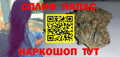 прущие грибы Нягань