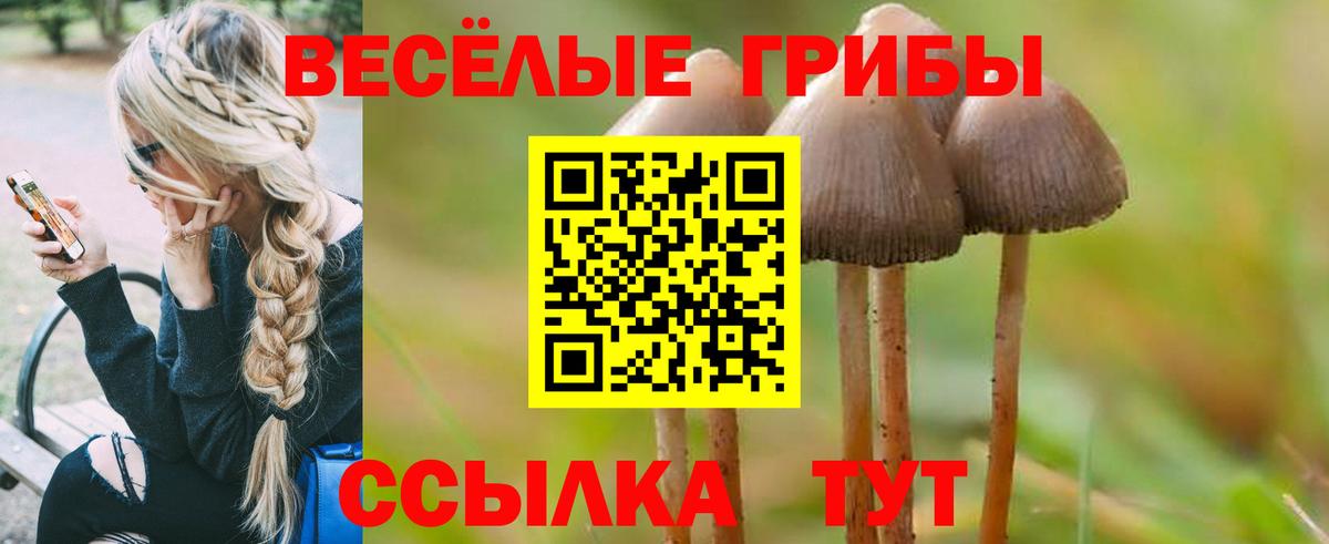 Обь  Галлюциногенные грибы Psilocybine cubensis  Вход с VPN 